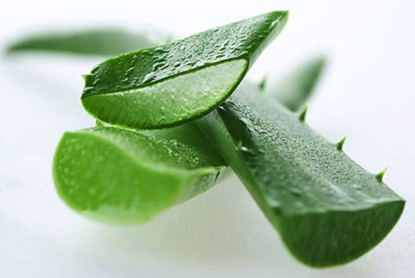 aloe-vera-shaving-gel.[1]